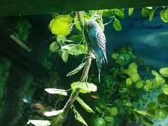 -上海海洋水族馆