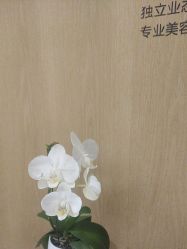 -广东韩妃整形外科医院