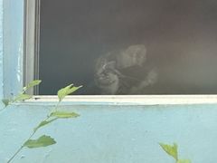 -青藏高原野生动物园
