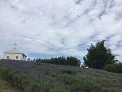 -紫颐香薰山谷景区
