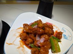 -鸽小宝(深圳首店)