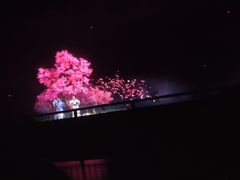 -芜湖方特东方神画