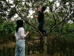 -塘栖枇杷特色园区