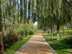 -眉山湿地公园(东坡区)