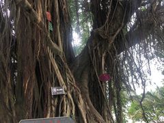 -船政文化景区-罗星塔公园