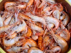 清蒸河虾-东胜客河鲜店·西江河鲜·老字號渔家菜