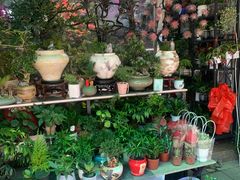 -溪岸路花鸟市场