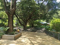 -金鸡山公园