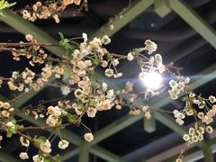 -Catch Bagel(芳草地店)