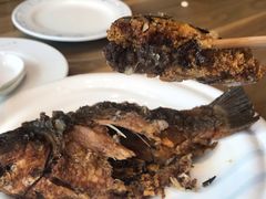 -高玛纳驴肉火烧(河间总店)