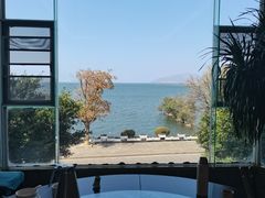 -野菌皇海景野生菌火锅(滨海大道店)
