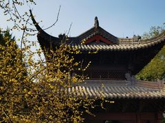 -钱王祠