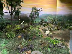 -陕西自然博物馆