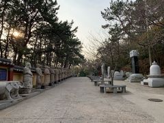 -海东龙宫寺