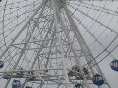 -秦皇岛乐岛海洋王国