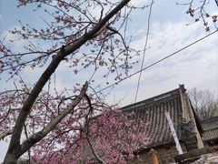 -于家石头村景区