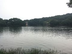 -紫霞湖公园