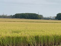 -嘉北郊野公园