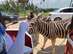 -南京金牛湖风景区