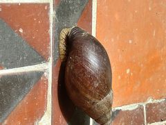 -草庵摩尼教遗址公园