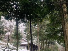 -青城山