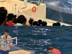 -泉城欧乐堡海洋极地世界