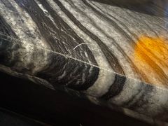 -老船舫·现做活鲜鱼馆(东郊记忆店)