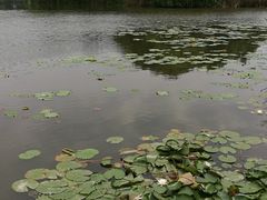 -新江湾城公园