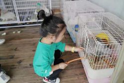 -小蜜蜂农场(凯德七宝购物广场店)