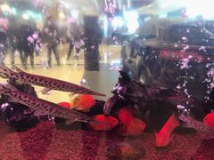 -三代烤肉(保利广场店)