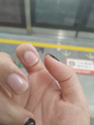 -孔雀手美甲美睫护理