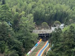 -长沙黑麋峰国家森林公园
