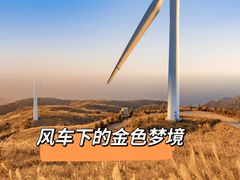 -东白山