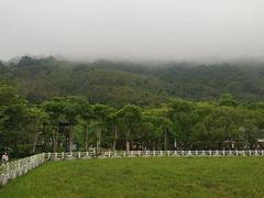 -瑞穗牧场