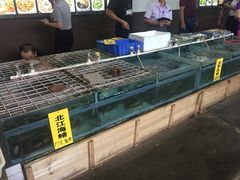 -寻味顺德·南记酒家·传统顺德菜·鱼生(广源路店)