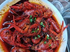 -京B·东篱精酿啤酒音乐餐厅