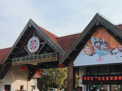 -上海海湾国家森林公园