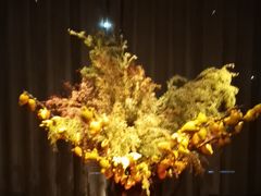 -晓长安·新陕菜(曲江店)