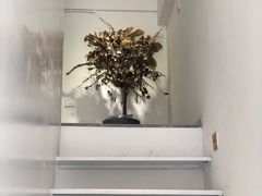 -花沐 FLOWER BATH(凤凰城店)