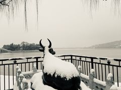 -颐和园