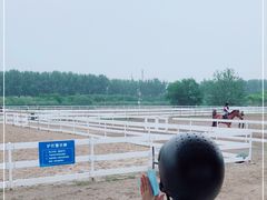 -月河湾马术俱乐部(朝阳店)