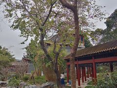 -顺峰山公园