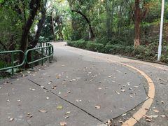 -中山公园(石岐街道)