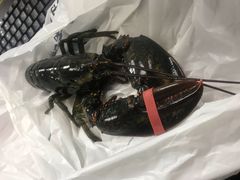 -盒马鲜生(悦峰店)
