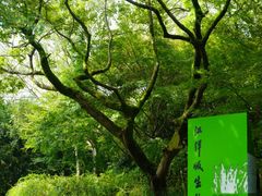 -西湖风景区-江洋畈生态公园