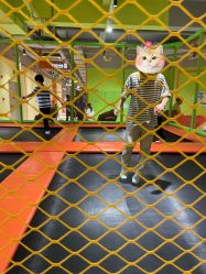 -宝燕乐园(闵行旗舰店)