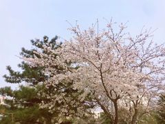 -西门子中国有限公司(阜通东大街店)