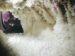 -湖南省地质博物馆