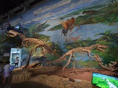 -自贡恐龙博物馆