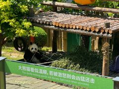 -大连森林动物园